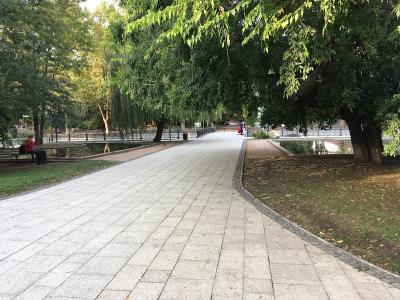 Прикрепленное изображение: IMG_9555.jpeg